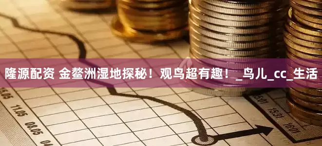隆源配资 金鳌洲湿地探秘！观鸟超有趣！_鸟儿_cc_生活