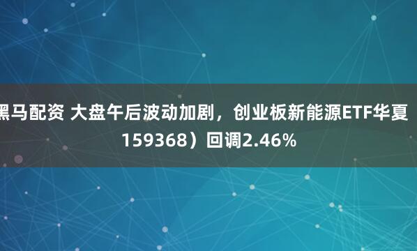 黑马配资 大盘午后波动加剧，创业板新能源ETF华夏（159368）回调2.46%